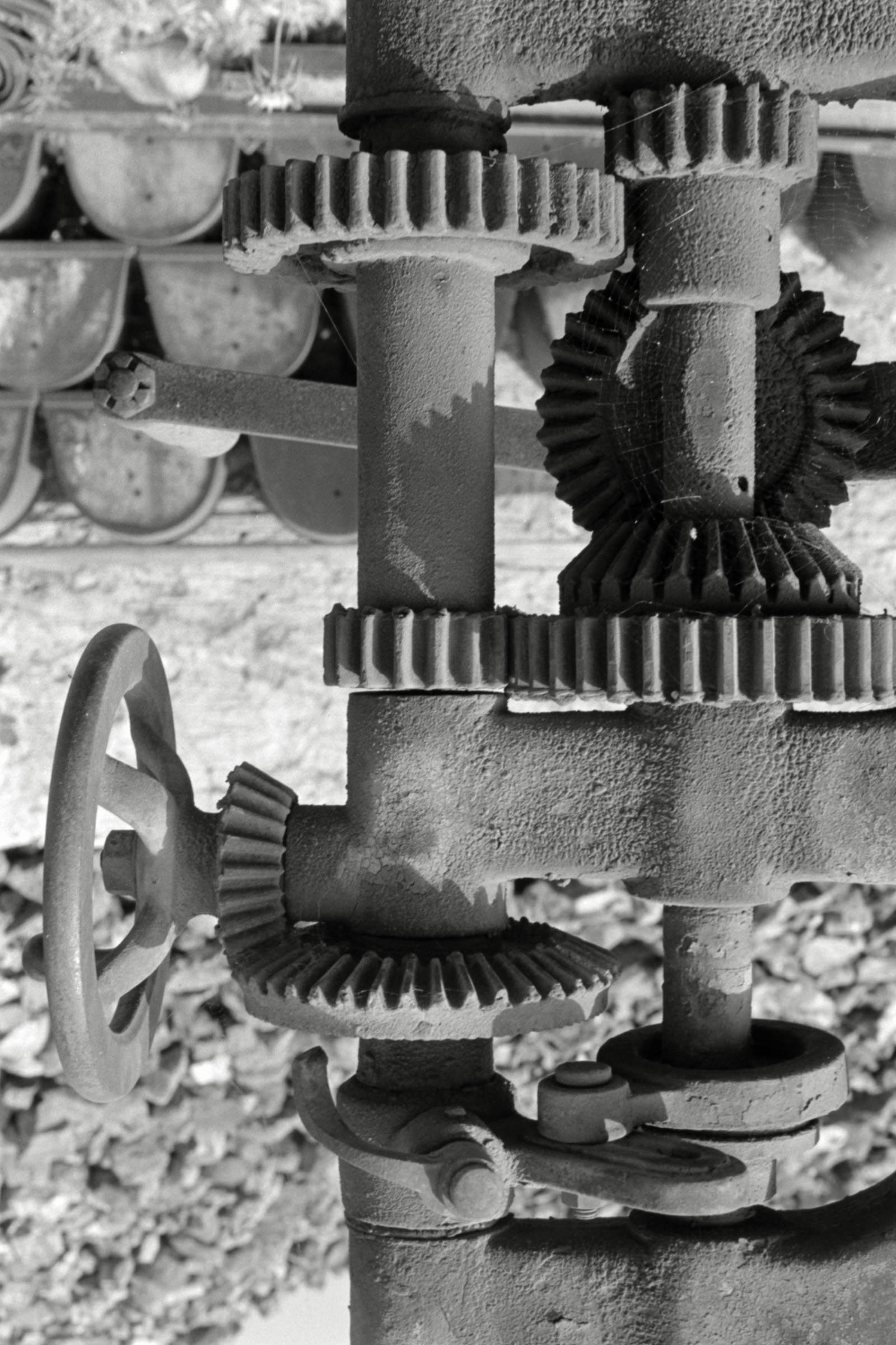 AHP F1991 09 005 sc250507 img21 NLP